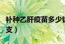 补种乙肝疫苗多少钱一支（乙肝疫苗多少钱一支）