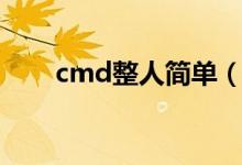 cmd整人简单（cmd整人代码大全）