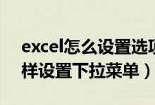 excel怎么设置选项下拉菜单（excel表格怎样设置下拉菜单）