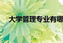 大学管理专业有哪些（管理专业有哪些）