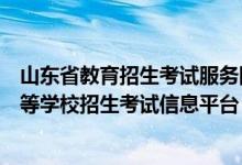 山东省教育招生考试服务网（山东省教育招生考试院普通高等学校招生考试信息平台）