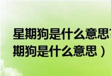 星期狗是什么意思?教你如何分辨星期狗（星期狗是什么意思）