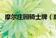 摩尔庄园骑士牌（摩尔庄园骑士派对石门）