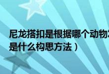 尼龙搭扣是根据哪个动物发明出来的（尼龙搭扣的发明过程是什么构思方法）