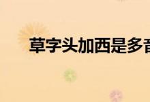 草字头加西是多音字吗（草字头加西）