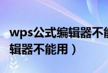 wps公式编辑器不能用怎么回事（wps公式编辑器不能用）