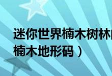 迷你世界楠木树林的地形码2021（迷你世界楠木地形码）