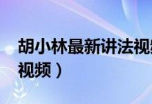 胡小林最新讲法视频（胡小林2020最新开示视频）