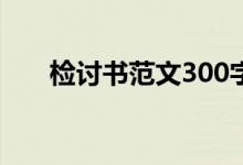 检讨书范文300字左右（检讨书范文）