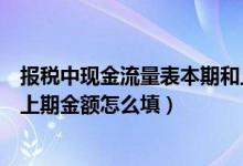 报税中现金流量表本期和上期金额（现金流量表本期金额和上期金额怎么填）