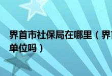 界首市社保局在哪里（界首市人力资源和社会保障局是参工单位吗）