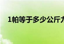 1帕等于多少公斤力（1pa等于多少公斤）