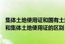 集体土地使用证和国有土地证有什么区别（国有土地使用证和集体土地使用证的区别）