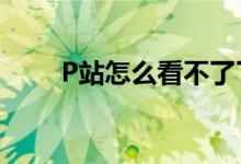 P站怎么看不了了（p站怎么看r18）