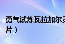 勇气试炼瓦拉加尔灵魂碎片（瓦拉加尔灵魂碎片）