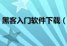 黑客入门软件下载（黑客技术新手入门软件）