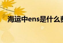 海运中ens是什么费用（ens费用是什么）