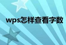 wps怎样查看字数（wps怎么看字数统计）