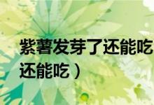 紫薯发芽了还能吃吗 百度经验（紫薯发芽了还能吃）