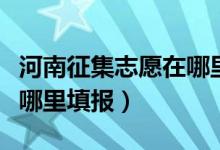 河南征集志愿在哪里报名（河南省征集志愿在哪里填报）