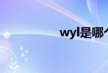 wyl是哪个明星（wyl）