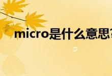 micro是什么意思?（micro是什么意思）