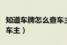 知道车牌怎么查车主名字（知道车牌号怎样查车主）