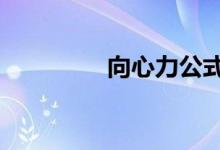 向心力公式7个（向心力）