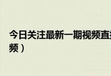 今日关注最新一期视频直播在线观看（今日关注最新一期视频）