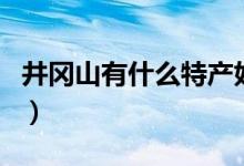 井冈山有什么特产好吃的（井冈山有什么特产）