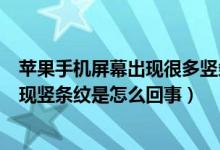 苹果手机屏幕出现很多竖条纹是怎么回事（苹果手机屏幕出现竖条纹是怎么回事）