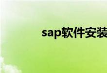 sap软件安装教程（spa软件）