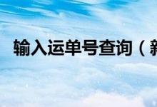 输入运单号查询（新元国际快递单号查询）