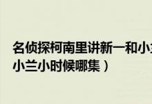 名侦探柯南里讲新一和小兰小时候的故事有哪几集（柯南和小兰小时候哪集）