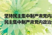 坚持民主集中制严肃党内政治生活贯彻党员原则情况（坚持民主集中制严肃党内政治生活贯彻）