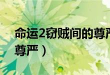 命运2窃贼间的尊严是什么（命运2窃贼间的尊严）