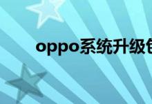 oppo系统升级包（oppo固件下载）