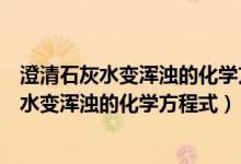 澄清石灰水变浑浊的化学方程式是复分解反应吗（澄清石灰水变浑浊的化学方程式）