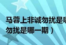 马蓉上非诚勿扰是哪一期出现的（马蓉上非诚勿扰是哪一期）