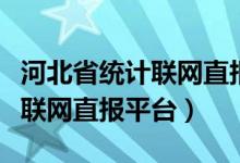 河北省统计联网直报平台干嘛的（河北省统计联网直报平台）