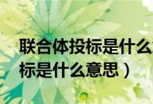 联合体投标是什么意思 利润承诺（联合体投标是什么意思）