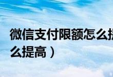 微信支付限额怎么提高额度（微信支付限额怎么提高）