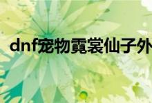 dnf宠物霓裳仙子外观（dnf倪裳仙子宠物）