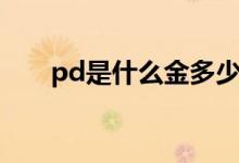 pd是什么金多少钱一克（pd是什么）