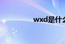 wxd是什么名字（wxd）