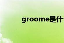 groome是什么意思（groom）