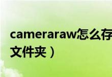 cameraraw怎么存储预设（cameraraw预设文件夹）