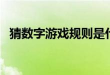 猜数字游戏规则是什么（猜数字游戏规则）