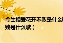 今生相爱花开不败是什么歌表达什么意思（今生相爱花开不败是什么歌）