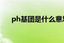 ph基团是什么意思（基团是什么意思）